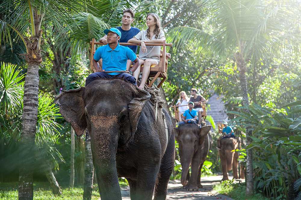 Elephant Ride Bali Zoo