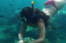 Snorkelling-Mangrove-Point-lembongan-bali