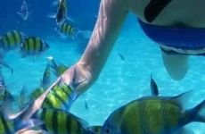 dive-snorkling-in-bali