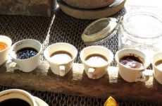 5-coffee-plantation-bali-2