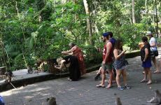 3-ubud-monkey-forest-bali